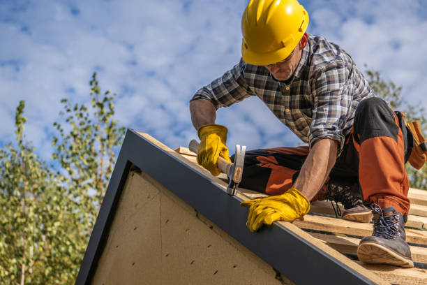 Best Rubber Roofing (EPDM, TPO)  in Warren, IL